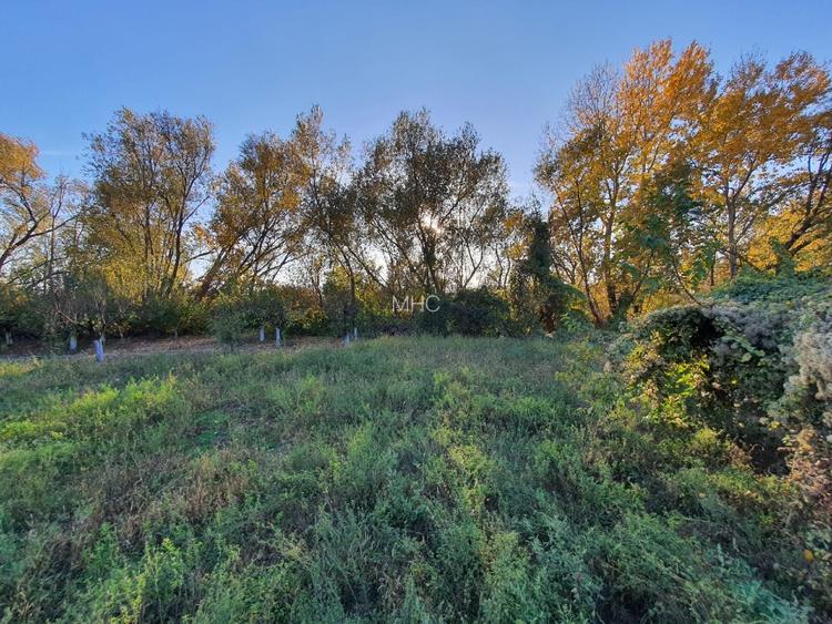 Teren de vânzare “Dumbrava Minunata” în Domnesti, Ilfov - 5