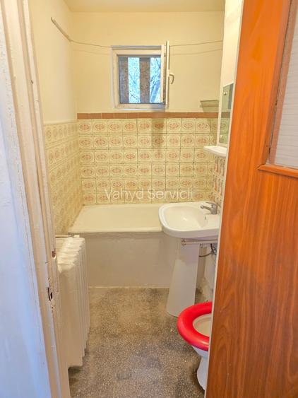 Lacul Tei  Teiul Doamnei  Colentina - 2