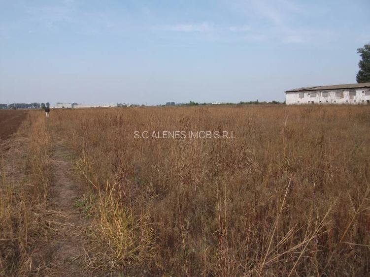 Teren 1,25 ha intravilan - 4