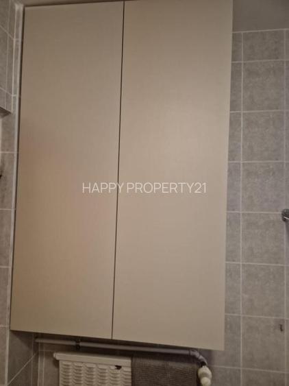 2 Camere Banu Manta / Victoriei / Titulescu - 11