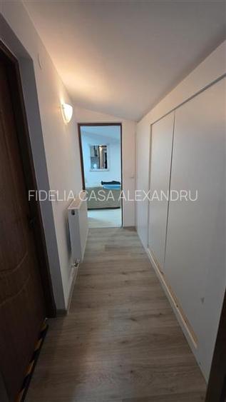 Spatiu 2 camere de inchiriat BUCSINESCU - 8