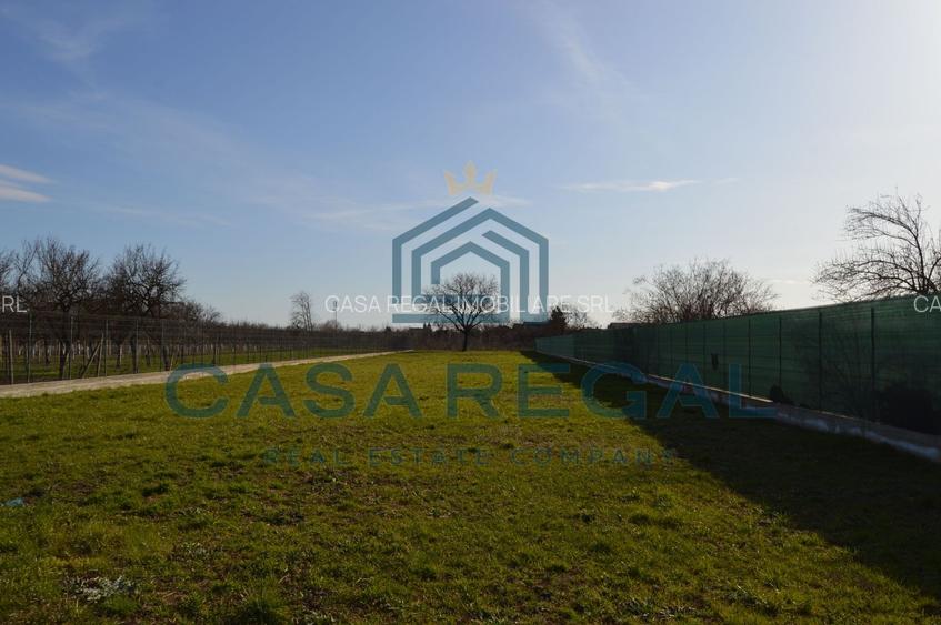 Teren 3500 mp împrejmuit, central, Biharia, lângă Profi, utilități - 3