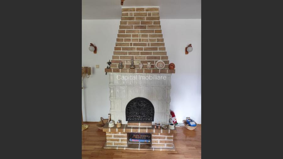 Vila superba 7 camere, Provita de Jos, 22.000 mp teren - 17