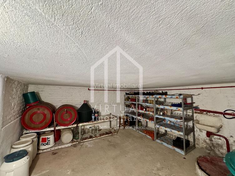 Casa individuala cu teren de 820mp, 3 camere, pivnita, pod, Turnisor - 29