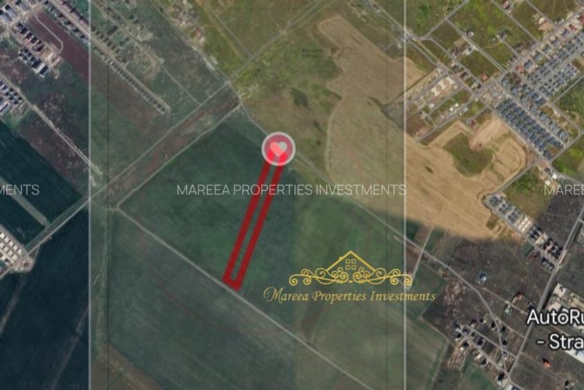 Teren investiție Măgurele 17.500 mp - 3