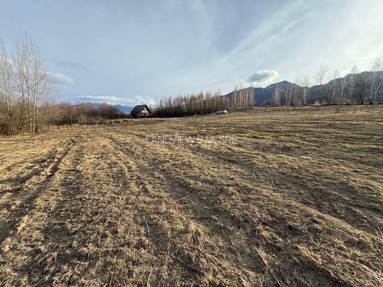 Teren intravilan 500 mp sau 1000 mp în Zarnesti –Tohanita cu parau(izvor) - 8