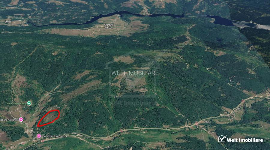 Eco Retreat Land in Apuseni Romania - Poiana Horea - 2