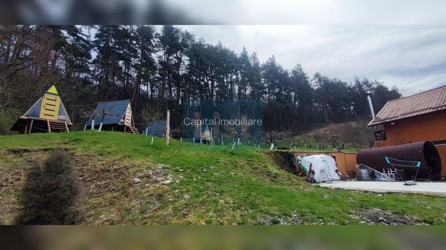 COMISION 0%! Casă 140 mp util, teren 4500 mp, PET FRIENDLY, Micești - 35