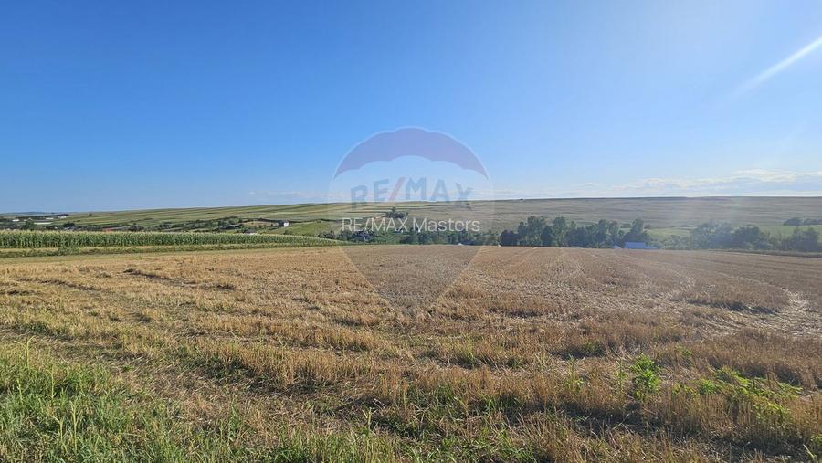 Teren intravilan, 7500 mp in Moara Carp / Strada Eternitatii-Suceava - 10