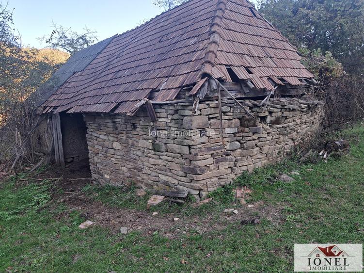 Vanzare casa cu 17.399 mp teren in Vintu de Jos - Valea Vintului - 3