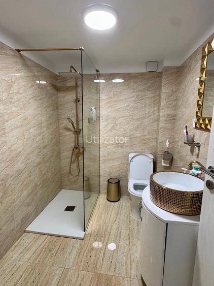 Direct Proprietar - Vila individuala D+P+1,  zona Domenii 160mp - 6