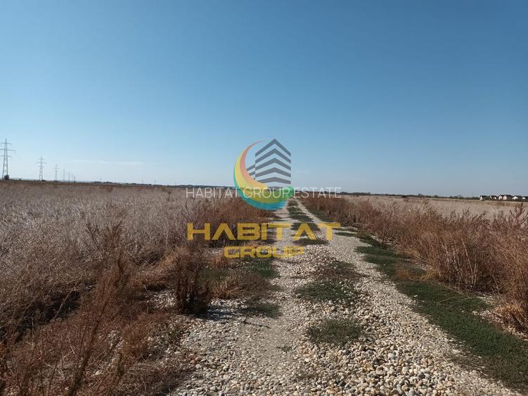 Rate fara dobanda! Teren 400 mp, utilitati la lot - Vidra - 6