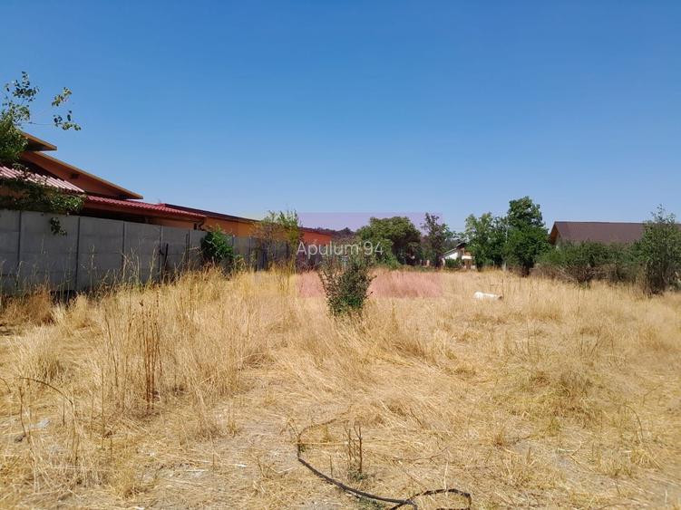 Teisori (Giurgiu) - teren 1800 mp de vanzare - 3