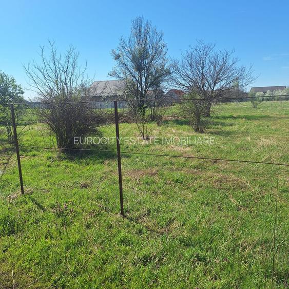 Dragomiresti- Vale, str Nucilor, teren intravilan 2.262mp. - 8