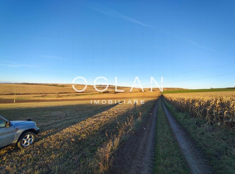 Teren intravilan cu PUZ pentru investitie - 26.100 mp - Sura Mare - 4