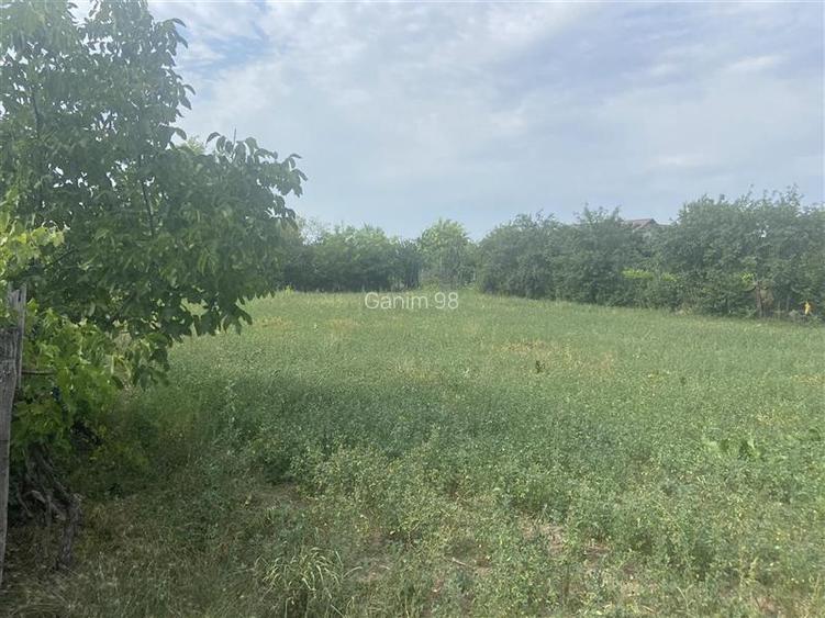 Casa si teren de vanzare in Suraia, zona Cimitirul central ,2087 mp , deschidere - 3