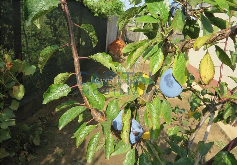 Casa de vanzare in Popesti, Giurgiu - 15