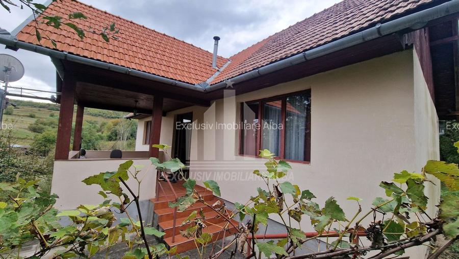 Casa individuala | 120 mp | 1390 mp teren | Livada | Cetea - 3