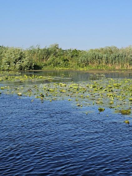 Teren intravilan in Delta Dunarii, C.A. Rosetti - Cardon - 18