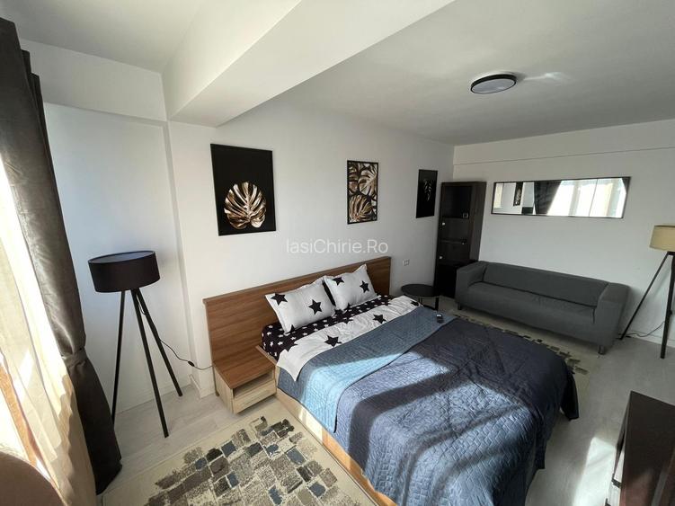 Apartament cu o camera Visan - 4