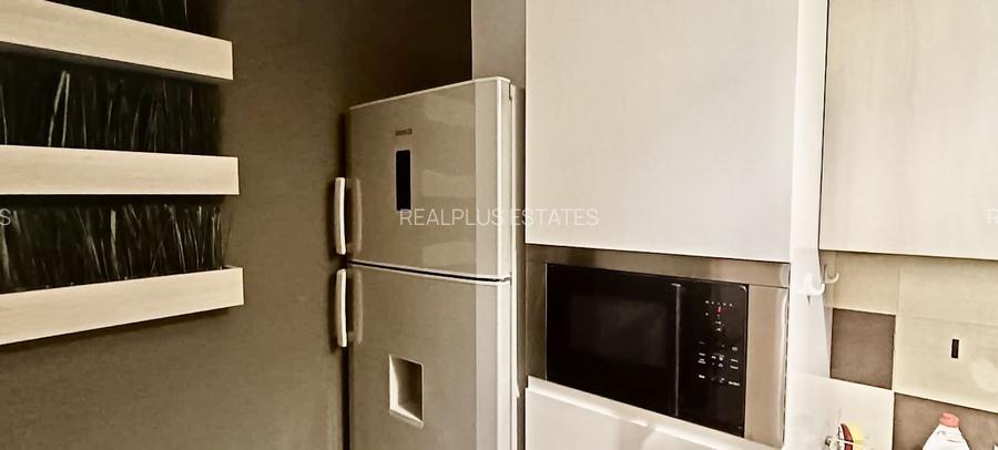 Inchiriere 2 camere Dorobanti - 4