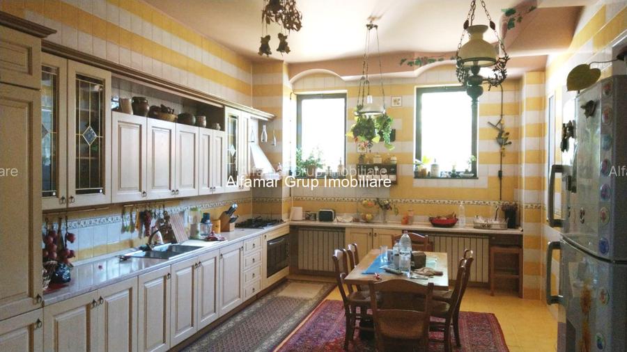 Vila 9 camere Cotroceni- Parcul Operei - 20