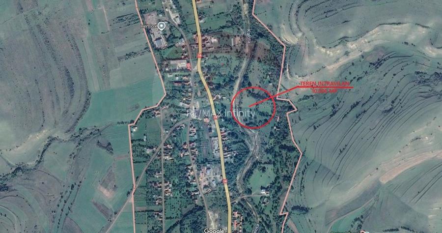 Teren 10.000 mp Calatele – Apuseni, langa rau, ideal investitie turism - 3