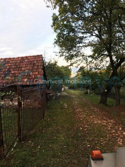 Teren intravilan de 1400 mp in Suncuius, de vanzare, Bihor - 9