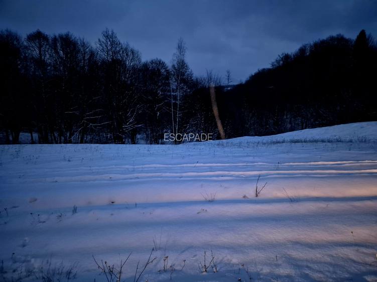 Teren extravilan 5000 mp Sinca Noua - 4