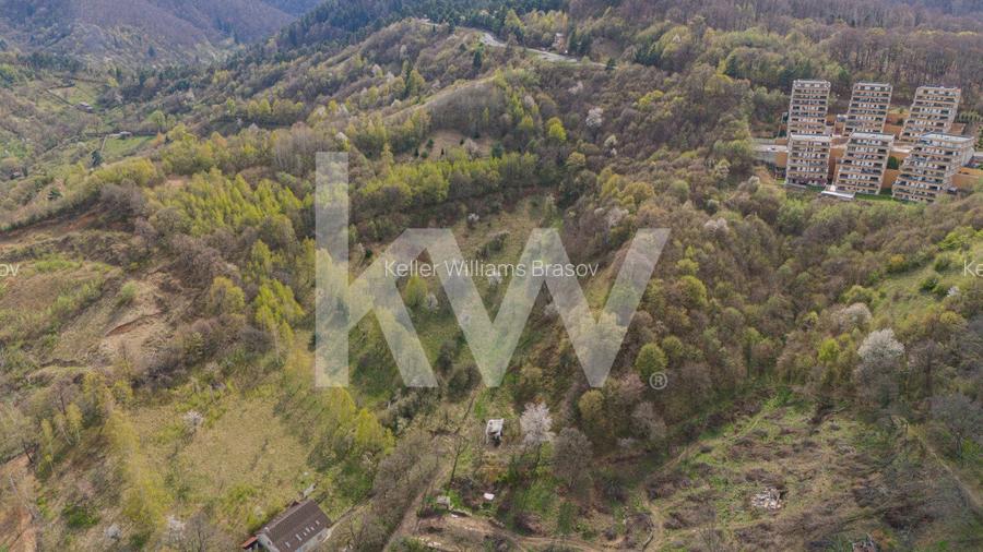 Teren Drumul Poienii - Seasons Residence - 9