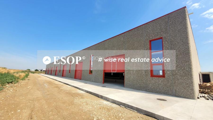 Hale industriale, parc modern, Rudeni, Chitila, Ilfov- ID 15462 - 22