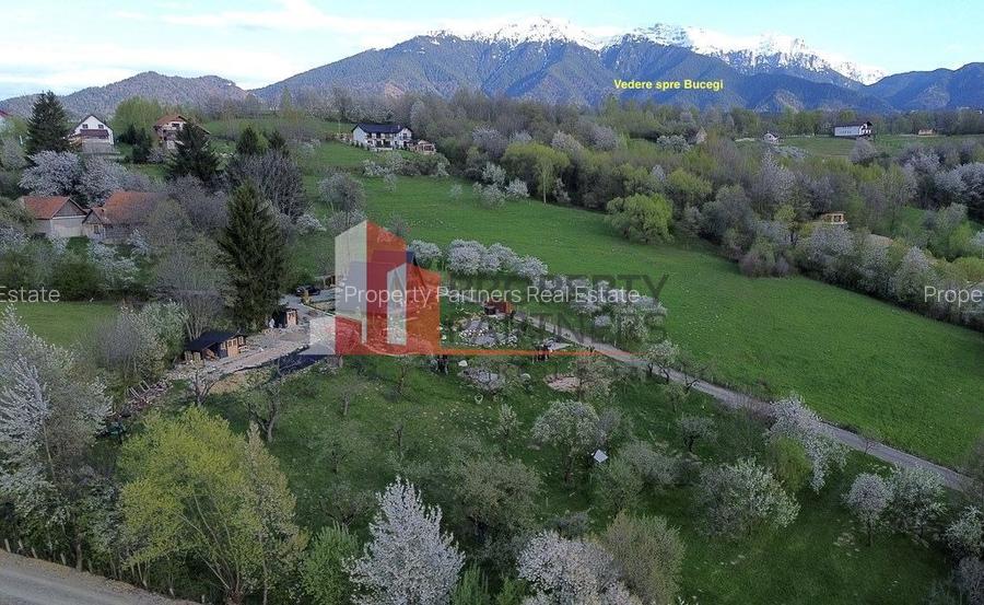 2  A-Frame | Bran Sohodol| 2 cabane | Teren 3.812 mp | Operațional | - 15