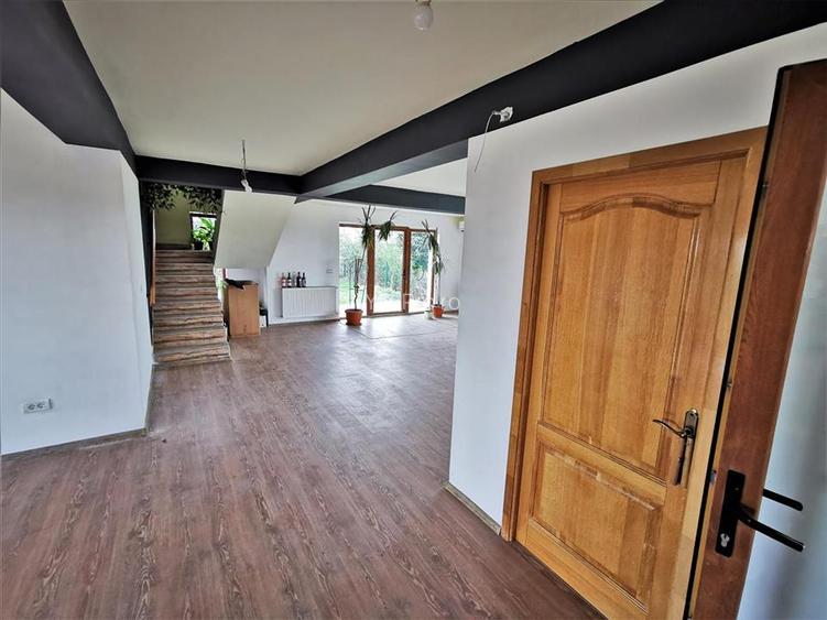 Vila Deosebita Rudicica - 3