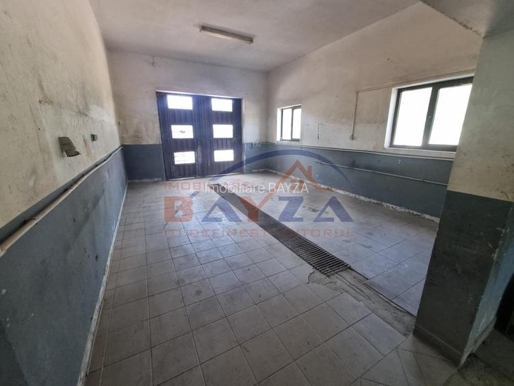 Hala 321 mp plus teren 1309 mp la intrarea in Baia Sprie - 9