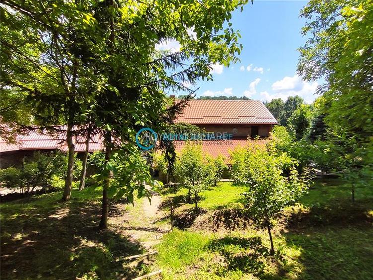 Royal Imobiliare -vanzare vila/ casa de vacanta zona CAMPINA - 26