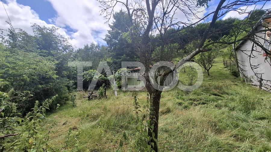 Teren 2500 mp Curmatura Rasinari 40 m deschidere la drum asfaltat - 2