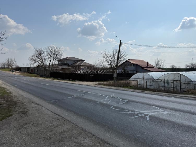 Teren intravilan 4.990 mp – Frumușani, zona Pasărea | Deschidere 22,5 m - 7