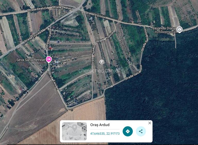 Teren intravilan Ardud Vii - 3