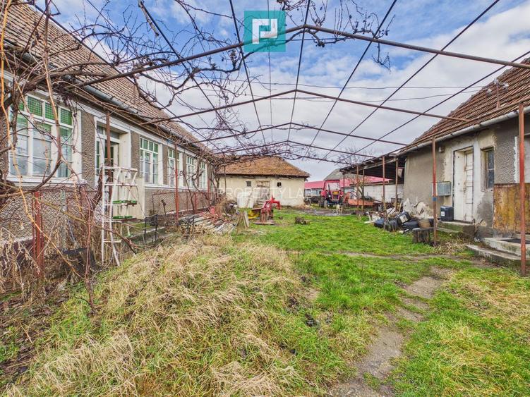 Casă cu teren generos, 4.000 mp, Chijic – Bihor - 2