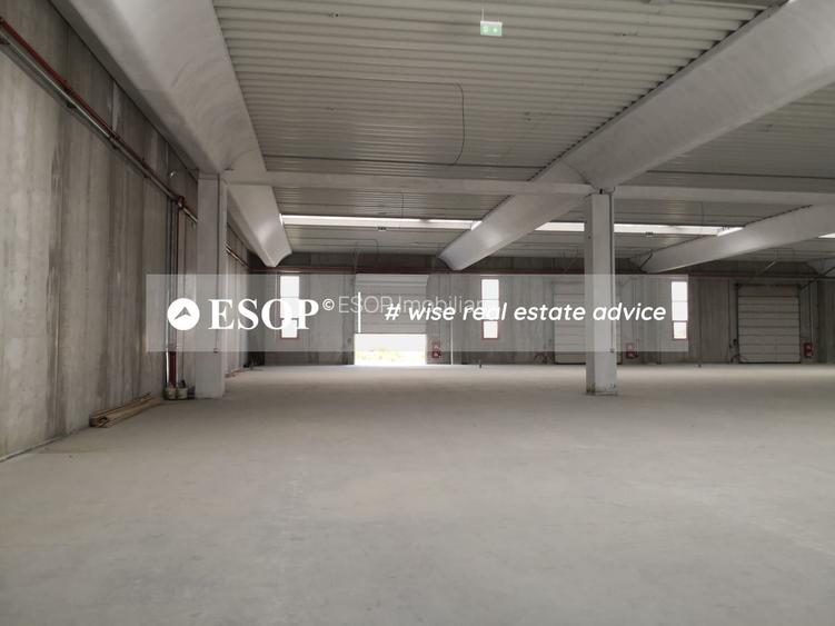 Hale industriale, parc modern, Rudeni, Chitila, Ilfov- ID 15462 - 9