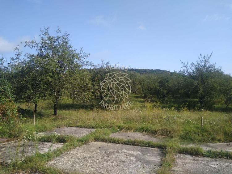 Teren 1500 mp - pretabil cabana/investitie - Zona Valea Rusului