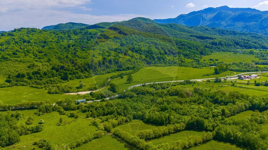 Teren 1ha Valea Glăjeriei - Rasnov | Comision 0%