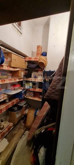 Oportunitate! Casa Bod pe un singur nivel, teren 980 mp pivnita, garaj ,mobilata - 15