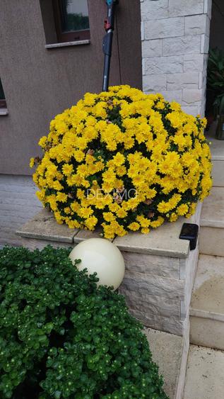 COMPOZITORI-VILA 5 CAMERE D+P+1 MOBILATA SI UTILATA POMPA CALDURA - 4