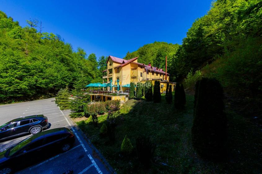 REFUGIU MONTAN CU FARMEC AUTENTIC - DE VANZARE - 17