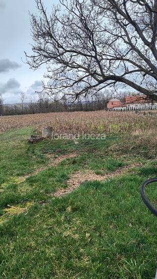 Vând casă cu teren !!! - 10