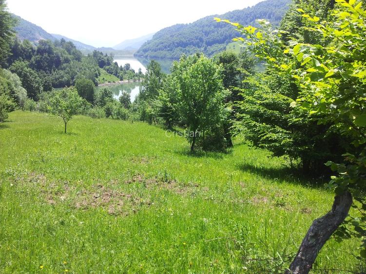 Teren unicat 73000 mp baraj Siriu - 9