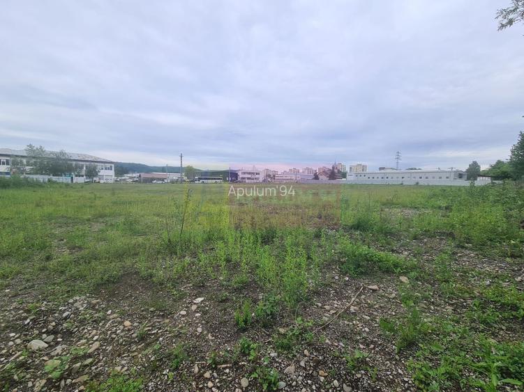 Teren intravilan de vanzare in Campina - 4