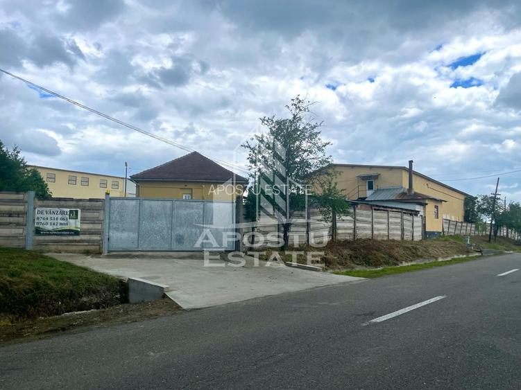 Spatii productie si depozitare, zona Sebis - Prunisor-Carand - 24