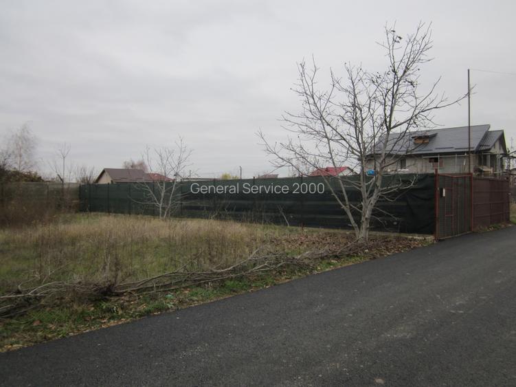 Drumul Targului-Stelelor - 3